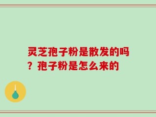 灵芝孢子粉是散发的吗？孢子粉是怎么来的