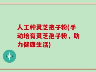 人工种灵芝孢子粉(手动培育灵芝孢子粉，助力健康生活)