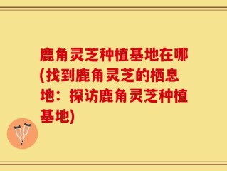 鹿角灵芝种植基地在哪(找到鹿角灵芝的栖息地：探访鹿角灵芝种植基地)