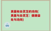 真菌和白灵芝的功效(真菌与白灵芝：健康益处与功效)