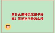 拿什么来种灵芝孢子好呢？灵芝孢子粉怎么种