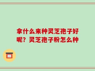 拿什么来种灵芝孢子好呢？灵芝孢子粉怎么种