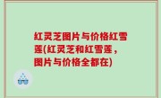 红灵芝图片与价格红雪莲(红灵芝和红雪莲，图片与价格全都在)
