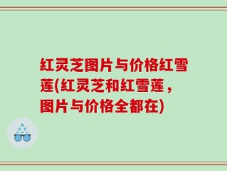 红灵芝图片与价格红雪莲(红灵芝和红雪莲，图片与价格全都在)
