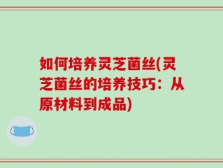 如何培养灵芝菌丝(灵芝菌丝的培养技巧：从原材料到成品)