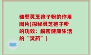 破壁灵芝孢子粉的作用图片(探秘灵芝孢子粉的功效：解密健康生活的“灵药”)