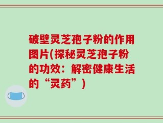 破壁灵芝孢子粉的作用图片(探秘灵芝孢子粉的功效：解密健康生活的“灵药”)