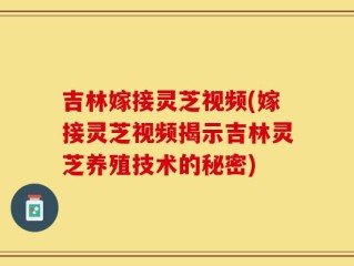 吉林嫁接灵芝视频(嫁接灵芝视频揭示吉林灵芝养殖技术的秘密)