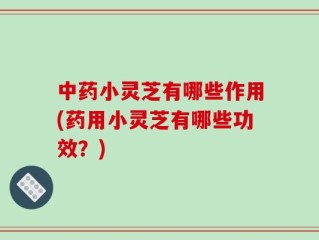 中药小灵芝有哪些作用(药用小灵芝有哪些功效？)