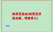 肉灵芝出水(肉灵芝浮出水面，惊艳世人)