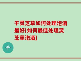 干灵芝草如何处理泡酒最好(如何最佳处理灵芝草泡酒)
