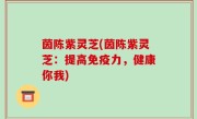 茵陈紫灵芝(茵陈紫灵芝：提高免疫力，健康你我)
