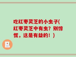 吃红枣灵芝的小虫子(红枣灵芝中有虫？别惊慌，这是有益的！)
