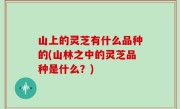 山上的灵芝有什么品种的(山林之中的灵芝品种是什么？)