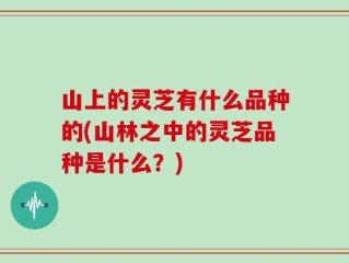 山上的灵芝有什么品种的(山林之中的灵芝品种是什么？)