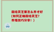 栽培灵芝要怎么养才好(如何正确栽培灵芝？养殖技巧分享！)