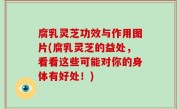 腐乳灵芝功效与作用图片(腐乳灵芝的益处，看看这些可能对你的身体有好处！)