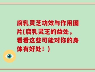 腐乳灵芝功效与作用图片(腐乳灵芝的益处，看看这些可能对你的身体有好处！)