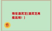 豫见酒灵芝(酒灵芝再度出现！)