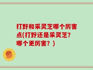 打野和采灵芝哪个厉害点(打野还是采灵芝？哪个更厉害？)