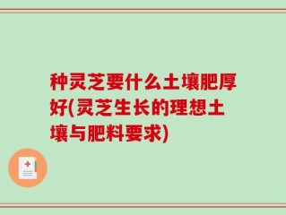 种灵芝要什么土壤肥厚好(灵芝生长的理想土壤与肥料要求)