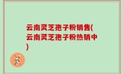 云南灵芝孢子粉销售(云南灵芝孢子粉热销中)