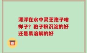 漂浮在水中灵芝孢子啥样子？孢子粉沉淀的好还是易溶解的好