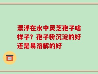 漂浮在水中灵芝孢子啥样子？孢子粉沉淀的好还是易溶解的好