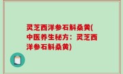 灵芝西洋参石斛桑黄(中医养生秘方：灵芝西洋参石斛桑黄)