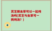 灵芝跟虫草可以一起炖汤吗(灵芝与虫草可一同炖汤？)