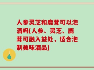 人参灵芝和鹿茸可以泡酒吗(人参、灵芝、鹿茸可融入益处，适合泡制美味酒品)