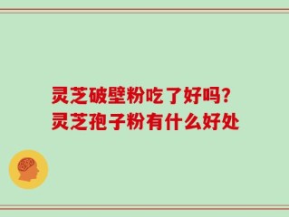 灵芝破壁粉吃了好吗？灵芝孢子粉有什么好处