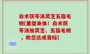 白术茯苓汤灵芝五指毛桃(重塑身体！白术茯苓汤加灵芝、五指毛桃 ，助您达成目标)