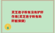 灵芝孢子粉有没有护肝作用(灵芝孢子粉有助肝脏保健)