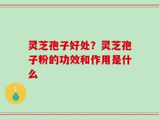 灵芝孢子好处？灵芝孢子粉的功效和作用是什么