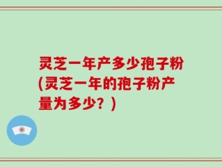 灵芝一年产多少孢子粉(灵芝一年的孢子粉产量为多少？)
