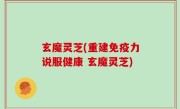 玄魔灵芝(重建免疫力说服健康 玄魔灵芝)