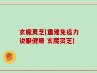 玄魔灵芝(重建免疫力说服健康 玄魔灵芝)