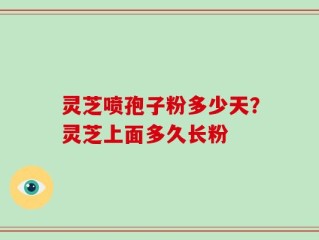 灵芝喷孢子粉多少天？灵芝上面多久长粉