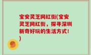 宝安灵芝网红街(宝安灵芝网红街，探寻深圳新奇好玩的生活方式！)