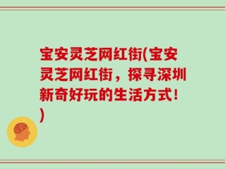 宝安灵芝网红街(宝安灵芝网红街，探寻深圳新奇好玩的生活方式！)