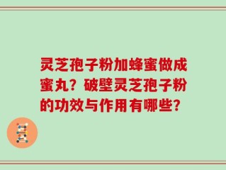 灵芝孢子粉加蜂蜜做成蜜丸？破壁灵芝孢子粉的功效与作用有哪些？