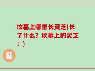 坟墓上哪里长灵芝(长了什么？坟墓上的灵芝！)
