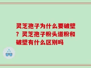 灵芝孢子为什么要破壁？灵芝孢子粉头道粉和破壁有什么区别吗