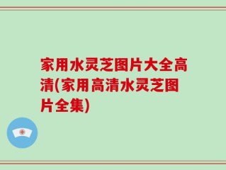 家用水灵芝图片大全高清(家用高清水灵芝图片全集)
