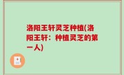 洛阳王轩灵芝种植(洛阳王轩：种植灵芝的第一人)
