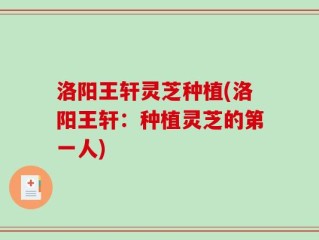 洛阳王轩灵芝种植(洛阳王轩：种植灵芝的第一人)
