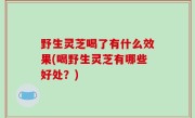 野生灵芝喝了有什么效果(喝野生灵芝有哪些好处？)