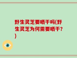 野生灵芝要晒干吗(野生灵芝为何需要晒干？)
