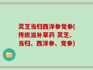 灵芝当归西洋参党参(传统滋补草药 灵芝、当归、西洋参、党参)